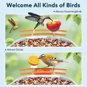 Peckcam Akıllı Kuş Yemliği, Kamera, 2K Canlı Gerçek Zamanlı Uyarı - Turuncu thumbnail 5