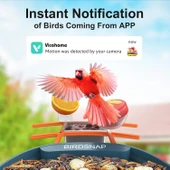 BirdSnap PAV - Akıllı Kuş Yemliği, Güneş Enerjili Kamera 2K HD - Mavi thumbnail 3