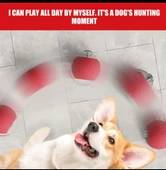 Kedi İpli USB type-C Şarjlı Hareketli Top Oyuncak thumbnail 4