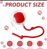 Kedi İpli USB type-C Şarjlı Hareketli Top Oyuncak thumbnail 2