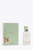 ZARA LIGHTLY BLOOM EDP 100ML (3.4 FL. OZ). thumbnail 5