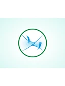 EVONY Hasta Yatak Koruyucu 60X90CM 120 Adet (4pkX30) thumbnail 2