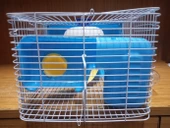 Hamster S201 Kafesi Boyalı 23X17X18 thumbnail 4