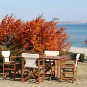 Bahçeme Yönetmen Katlanır Ahşap Bahçe Balkon Seti: 80x160 Masa + 4 Sandalye thumbnail 2