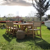 Bahçeme Taksim Kestane Bahçe Takımı: 8 Sandalye + 100X240 Masa thumbnail 3