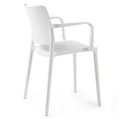 Papatya Joy Koltuk Açık Gri - Kolçaklı Bahçe Balkon Mutfak Sandalyesi thumbnail 2