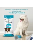 Vet Prive Orta ve İri Irk Yetişkin Köpek Maması Kuzu Etli 14 Kg thumbnail 2