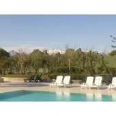 Papatya Avangarde Plastik Şezlong Kolçaklı Beyaz (4 ADET) thumbnail 5