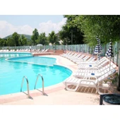 Papatya Avangarde Plastik Şezlong Kolçaklı Beyaz - Bahçe Balkon Plaj Şezlongu thumbnail 4