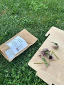 Tıbbi Bitki Çayları Set 1 ( Ekinezya, Adaçayı, Ihlamur, Civanperçemi, Kırkkilit otu) thumbnail 1