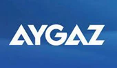Aygaz Manhattan İç Mekan Isıtıcı, Güvenli Bağlantı Seti Dahil LPG'li Isıtıcı, 2 Isı Kademeli, Gerçek Alev Etkisi, Güvenli Oda Isıtıcı, 3,40 kW Isı Gücü thumbnail 4
