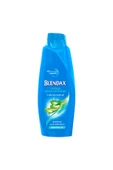 Blendax Şampuan Aloe Vera 500ml thumbnail 2