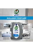 Cif Profesyonel Çok Amaçlı Yüzey Temizleyici Çiçek Bahçesi 5 L X2 thumbnail 8