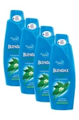Blendax Isırgan Özlü 4x500 ml Saç Dökülmesine Karşı Güçlendirici ve Hacim Veren Şampuan set thumbnail 1