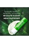 Vaseline Lip Therapy Dudak Bakım Kremi Aloe Vera 4.8 gr X2 thumbnail 3