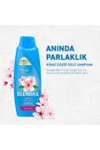 Blendax Anında Parlaklık Şampuan Kiraz Çiçeği Özlü 500 ml thumbnail 4