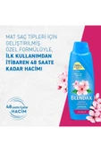 Blendax Anında Parlaklık Şampuan Kiraz Çiçeği Özlü 500 ml thumbnail 5