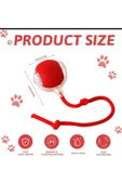 Animal Evcil Hayvan İpli USB Şarjlı Hareketli Top thumbnail 4
