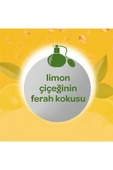 Dalin Bebek Kolonyası Limon Çiçeği 150 Ml thumbnail 4