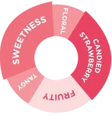 Da Vinci - Çilek Şurup - 750 ML thumbnail 2