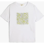 TSHIRT SS thumbnail 8