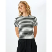 TSHIRT SS thumbnail 3