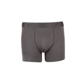 Erkek Boxer thumbnail 1