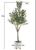 Yapay Zeytin Ağacı 185cm Doğal Görünümlü Yapay Ağaç Beyaz 25cm Zigon Saksıda thumbnail 4