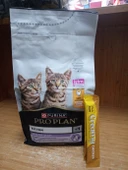 Pro Plan Kitten Tavuklu Yavru Kedi Maması 1.5 Kg+3 ADET TAVUKLU KEDİ ÖDÜL KREMA+ŞARJLI OYUN TOPU thumbnail 1