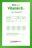 Wellcare Vitamin B12 500 mcg Sprey 5 ml thumbnail 2