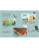 Nasıl Başladı Arkadaşlık Saygı Tanışmak 3 thumbnail 4