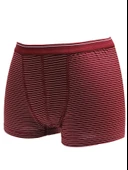 İlke 342 Çocuk Likralı Boxer İkili Paket thumbnail 3