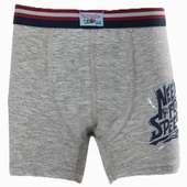 Namaldı 321 Erkek Çocuk Likralı Boxer thumbnail 3