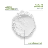 The Purest Solutions Azelaik Asit Ve Malik Asit Enzim Toz Temizleyici 55 Gr thumbnail 6