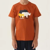 Roly Poly 3362C Erkek Çocuk Kapri Yazlık Pijama Takım thumbnail 9