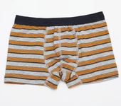 Öztaş 3704 Çocuk Çizgili Likralı Boxer Külot thumbnail 2