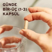 Solgar Milk Thistle 100 mg 50 Kapsül thumbnail 3