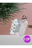 PATİK ÇORAP KULAKLI PAMUKLU DESENLİ KADIN ÇORABI 36-40 PUANTİYELİ, GRİPEMBE VE KREM 3 ÇİFT thumbnail 1