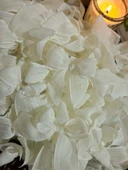 Pratikbox Keten Büyük Boy Fiyonk / 2,5 cm'lik / Hediyelik / Süsleme / Açık Krem Renk / 50 Adet thumbnail 5