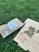 Baharat Seti 7 ürün bir arada ( Defne Yaprağı, Fesleğen, Reyhan, Kekik, Biberiye, Sumak, Nane) thumbnail 1