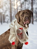 Teddy Santa Yılbaşı Köpek Atkısı | Polar Peluş Köpek Atkısı | Köpek Yılbaşı Aksesuarı | Orta ve Büyük Irklar İçin thumbnail 6