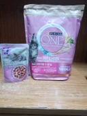 Purina One Junior Tavuklu Yavru Kedi Maması 800 Gr x 2Adet+ 2 ADET YAVRU KEDİ TAVUKLU YAŞ MAMA thumbnail 1