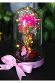 FANUS İÇERİSİNDE PERİ LED IŞIKLI KELEBEKLİ ÇİÇEK SOLMAYAN SONSUZLUK GÜLÜ SEVDİKLERİNİZE HEDİYE thumbnail 4