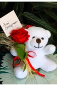 ELİNDE KADİFE GÜL & SENİ SEVİYORUM KARTI TUTAN 25cm PELUŞ AYI SEVDİKLERİNİZE ÖZEL GÜN HEDİYESİ thumbnail 2
