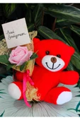 ELİNDE KADİFE GÜL & SENİ SEVİYORUM KARTI TUTAN 25cm PELUŞ AYI SEVDİKLERİNİZE ÖZEL GÜN HEDİYESİ thumbnail 4