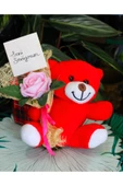 ELİNDE KADİFE GÜL & SENİ SEVİYORUM KARTI TUTAN 25cm PELUŞ AYI SEVDİKLERİNİZE ÖZEL GÜN HEDİYESİ thumbnail 1