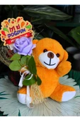 ELİNDE KADİFE GÜL & İYİ Kİ DOĞDUN KARTI TUTAN 25cm PELUŞ AYI SEVDİKLERİNİZE ÖZEL GÜN HEDİYESİ thumbnail 2