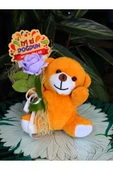 ELİNDE KADİFE GÜL & İYİ Kİ DOĞDUN KARTI TUTAN 25cm PELUŞ AYI SEVDİKLERİNİZE ÖZEL GÜN HEDİYESİ thumbnail 1
