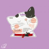 Lastikli Kedi Tasması 1 2 Cm Genişlik 30 Cm Boy Zilli - 1