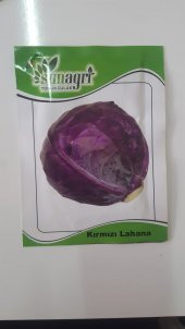 Kırmızı Lahana Tohumu 1 Paket %100 Yüksek Verimlidir. - 1